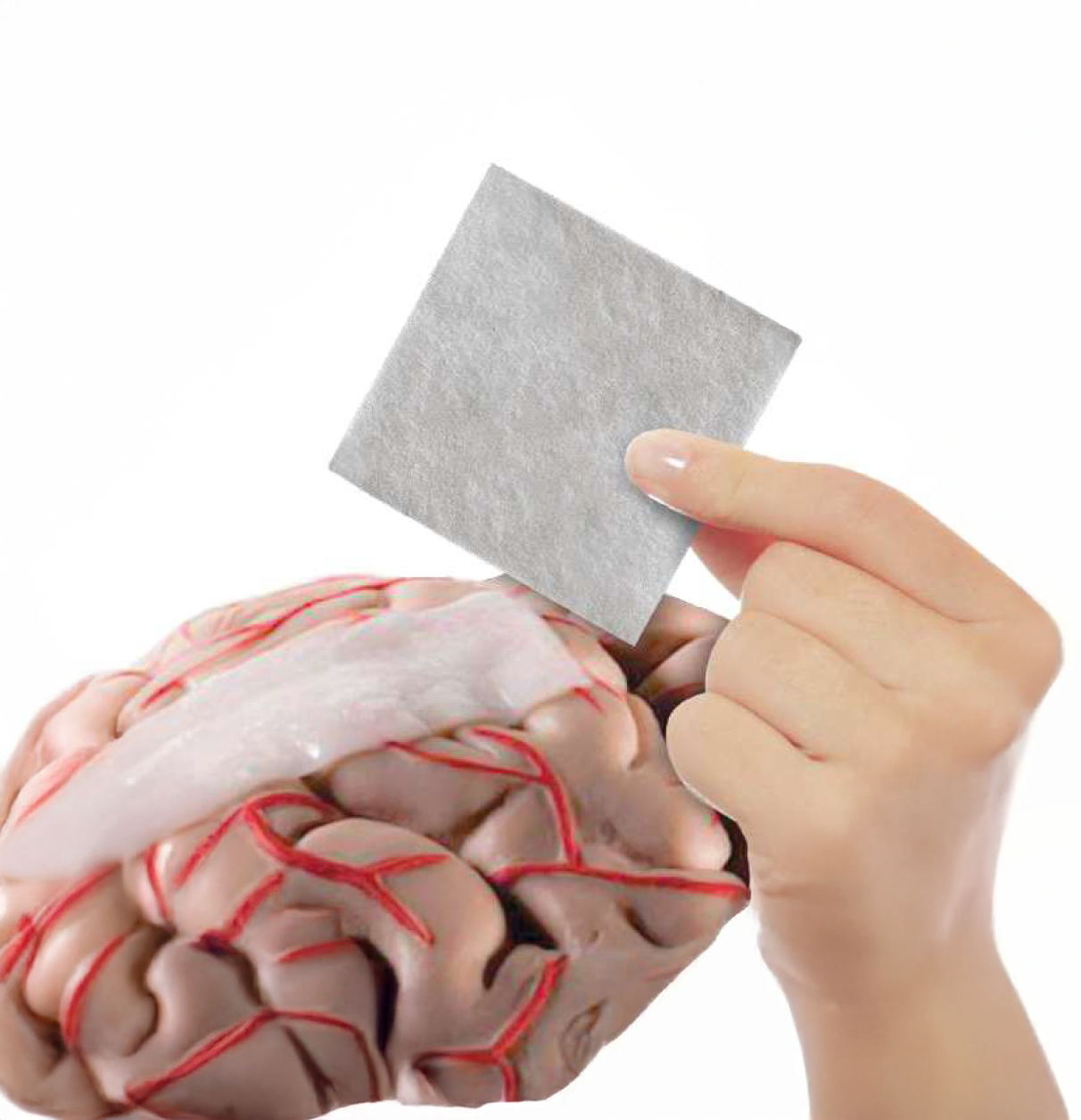 matriz de regeneracion